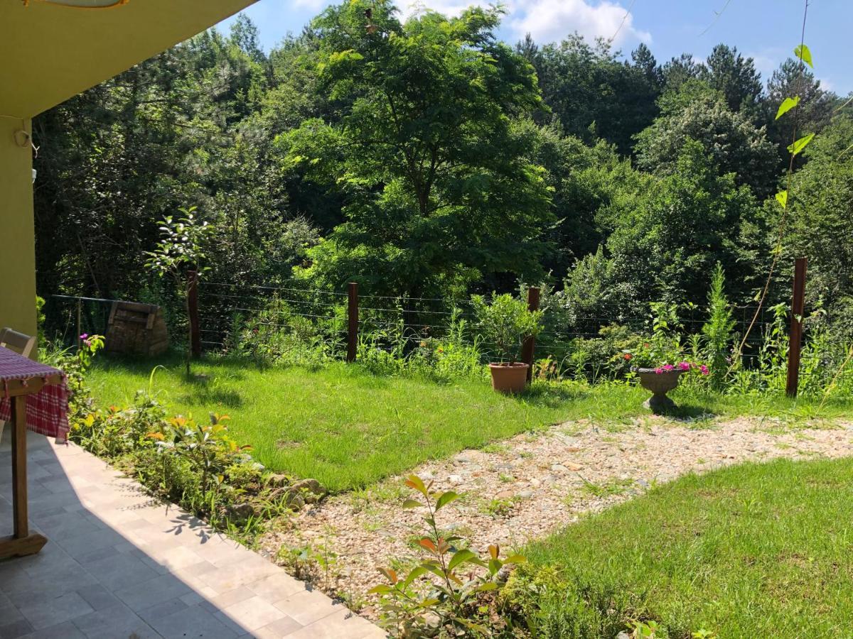 Happyhobbit Forest, Lake View, Fireplace , Jakuzi ,In Sapanca Exteriör bild