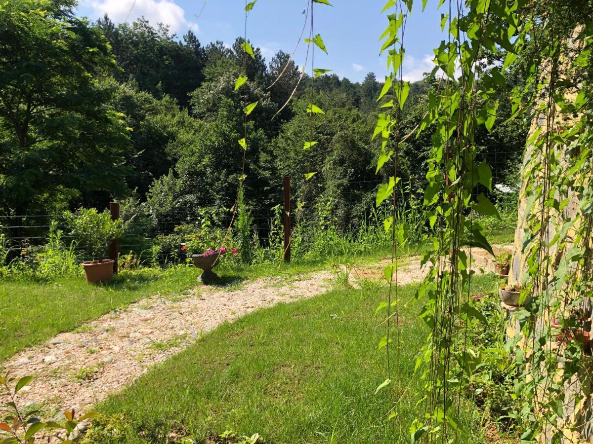 Happyhobbit Forest, Lake View, Fireplace , Jakuzi ,In Sapanca Exteriör bild