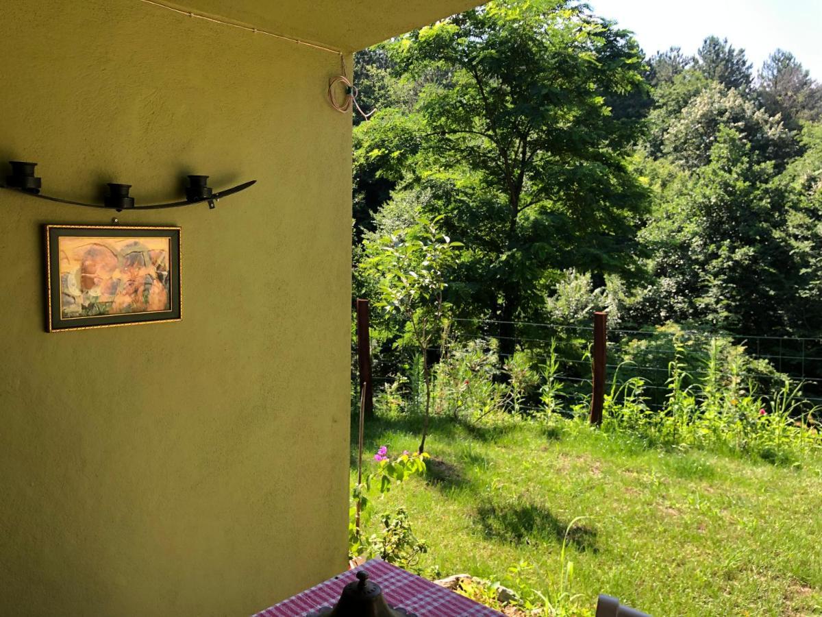 Happyhobbit Forest, Lake View, Fireplace , Jakuzi ,In Sapanca Exteriör bild